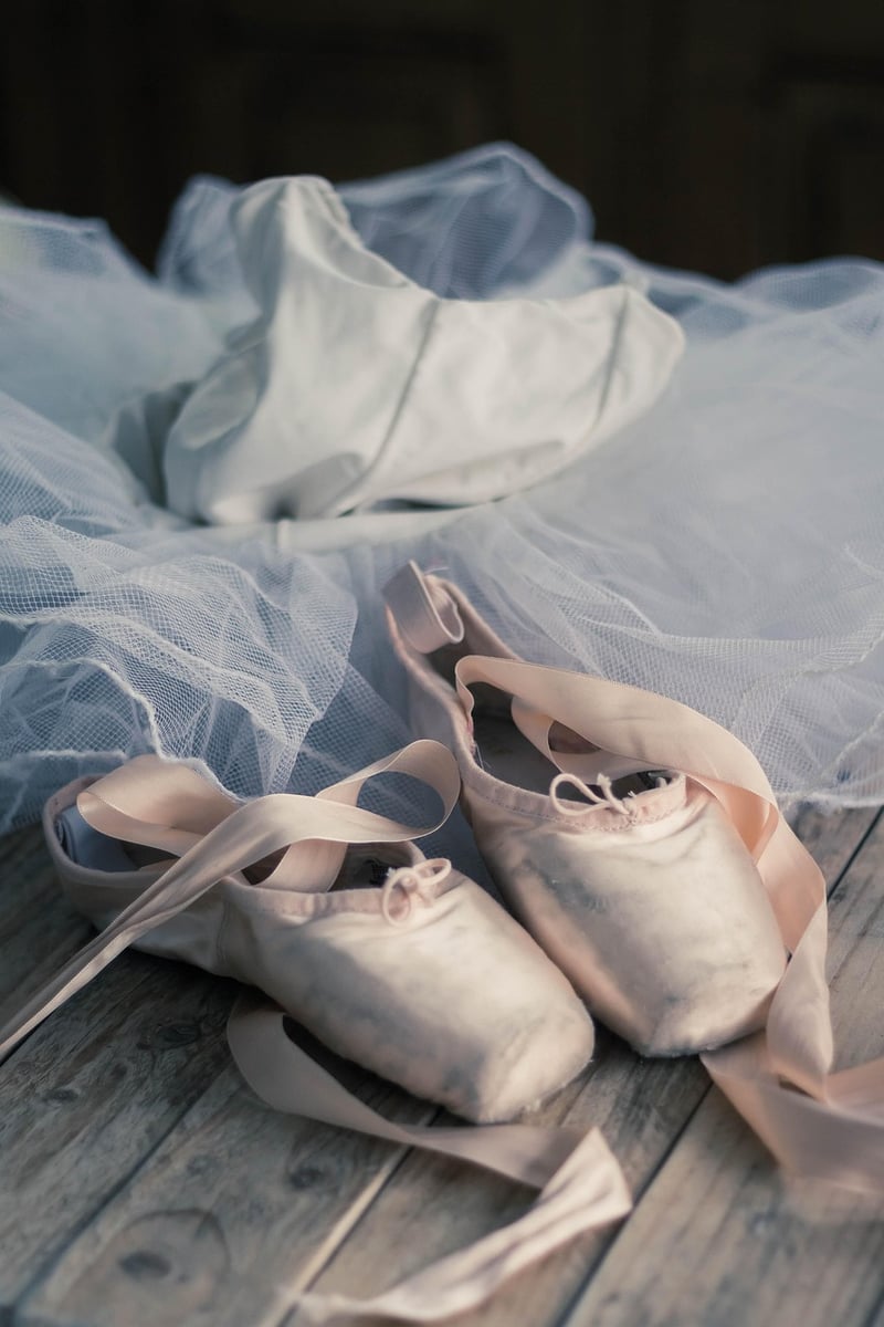 Ballet Shoes